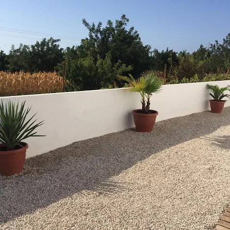The Hamlets - The Fig Tree & The Olive Tree Daire *